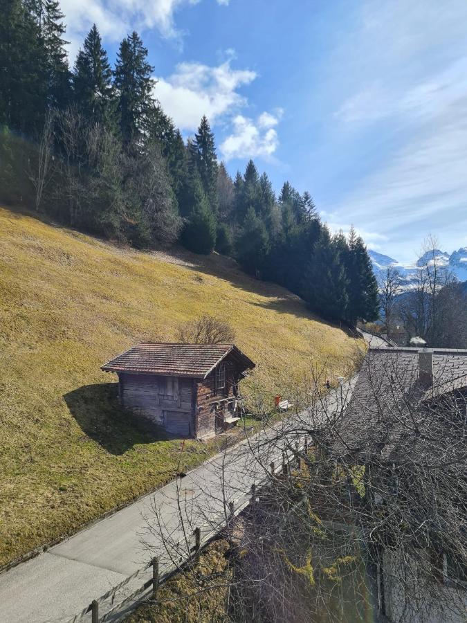 Traditional Chalet In Wengen - Top Floor 아파트 외부 사진