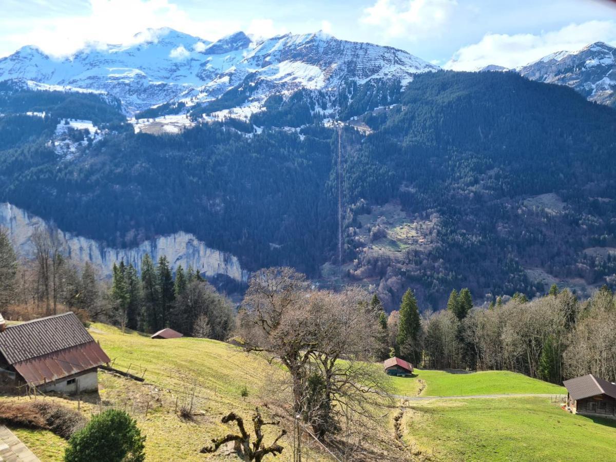 Traditional Chalet In Wengen - Top Floor 아파트 외부 사진