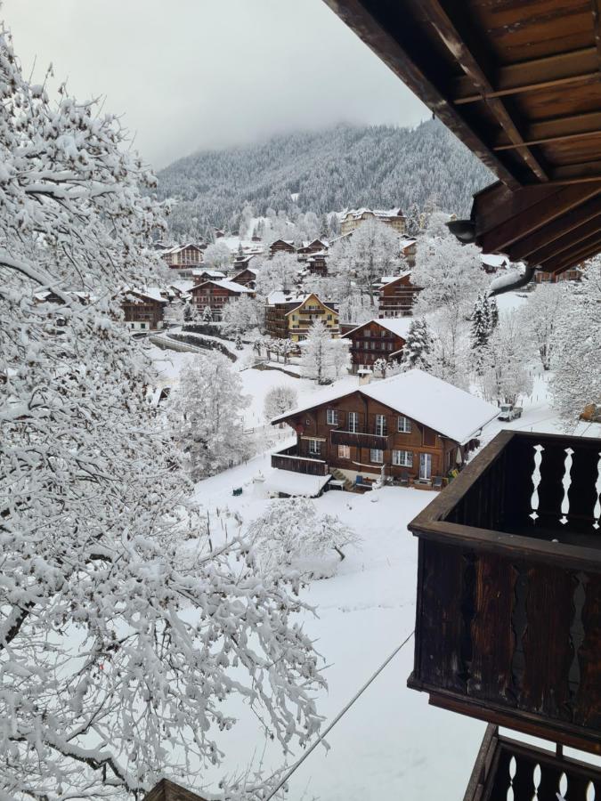 Traditional Chalet In Wengen - Top Floor 아파트 외부 사진