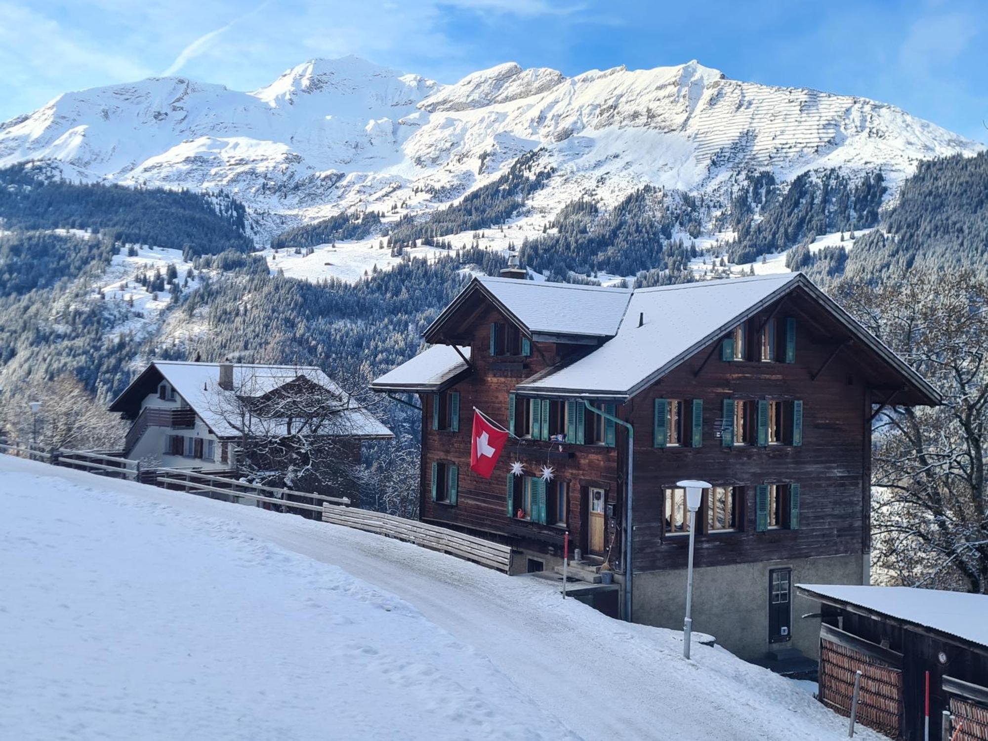 Traditional Chalet In Wengen - Top Floor 아파트 외부 사진